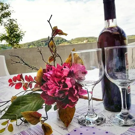 Appartement Olivera 2